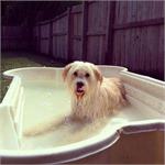 daycare pic 30 - winnie in pool